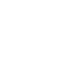 logo-oncologie-netwerk-rijssen-podotherapie-reggestreek